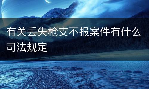 有关丢失枪支不报案件有什么司法规定