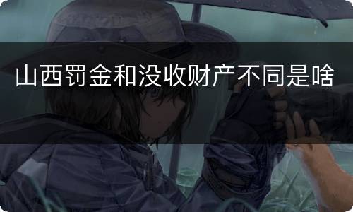 山西罚金和没收财产不同是啥