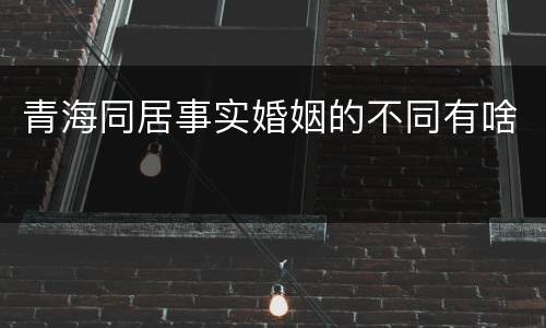 青海同居事实婚姻的不同有啥