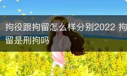 拘役跟拘留怎么样分别2022 拘留是刑拘吗