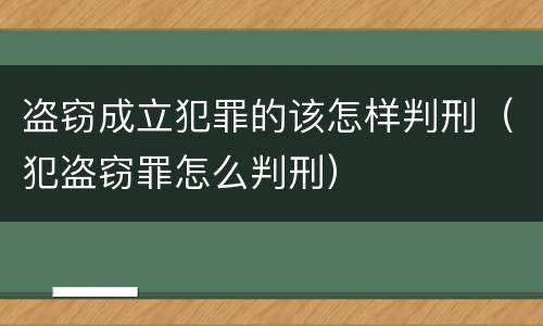 盗窃成立犯罪的该怎样判刑（犯盗窃罪怎么判刑）