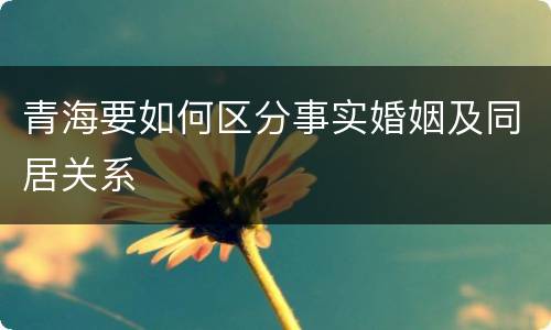 青海要如何区分事实婚姻及同居关系