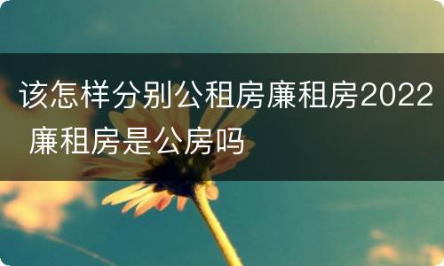 该怎样分别公租房廉租房2022 廉租房是公房吗