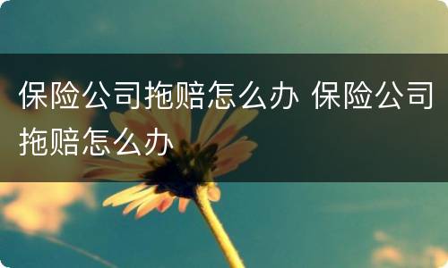 保险公司拖赔怎么办 保险公司拖赔怎么办