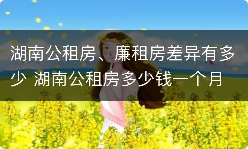 湖南公租房、廉租房差异有多少 湖南公租房多少钱一个月