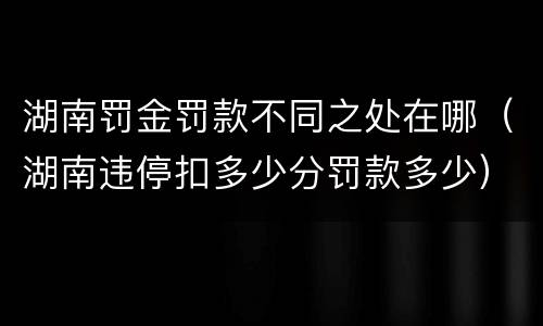 湖南罚金罚款不同之处在哪（湖南违停扣多少分罚款多少）
