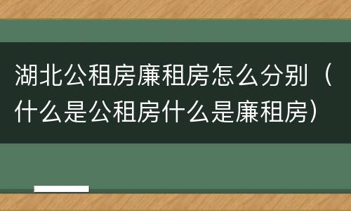 湖北公租房廉租房怎么分别（什么是公租房什么是廉租房）