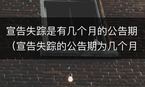 宣告失踪是有几个月的公告期（宣告失踪的公告期为几个月）