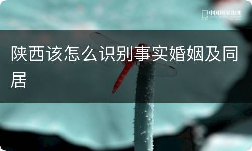 陕西该怎么识别事实婚姻及同居