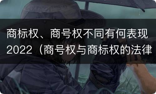 商标权、商号权不同有何表现2022（商号权与商标权的法律冲突与解决）