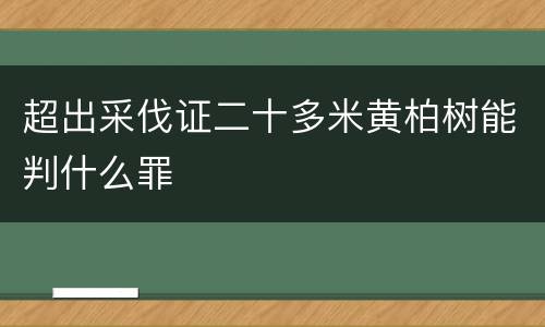 超出采伐证二十多米黄柏树能判什么罪