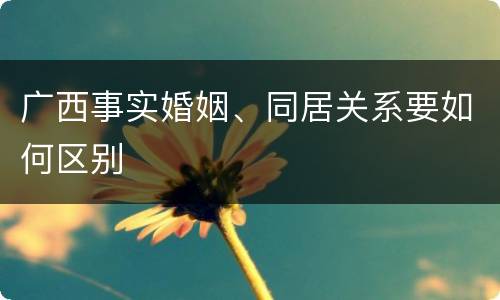 广西事实婚姻、同居关系要如何区别