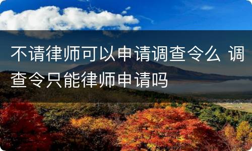 不请律师可以申请调查令么 调查令只能律师申请吗