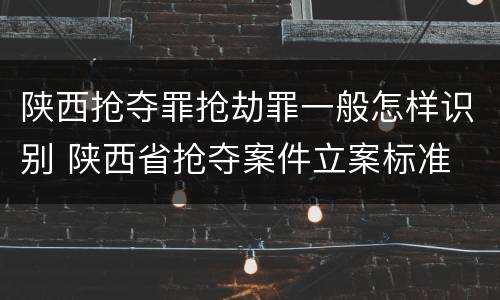 陕西抢夺罪抢劫罪一般怎样识别 陕西省抢夺案件立案标准