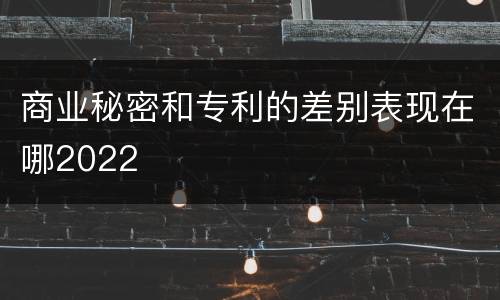 商业秘密和专利的差别表现在哪2022