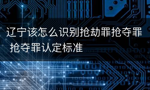 辽宁该怎么识别抢劫罪抢夺罪 抢夺罪认定标准