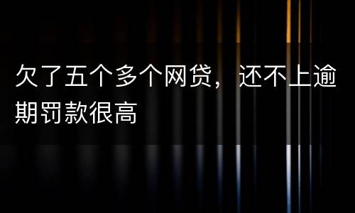欠了五个多个网贷，还不上逾期罚款很高