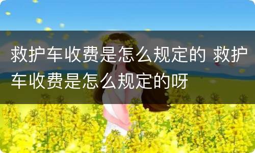 救护车收费是怎么规定的 救护车收费是怎么规定的呀