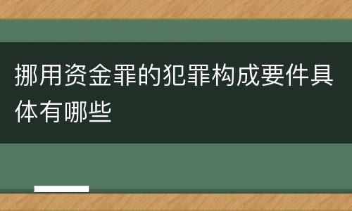 挪用资金罪的犯罪构成要件具体有哪些