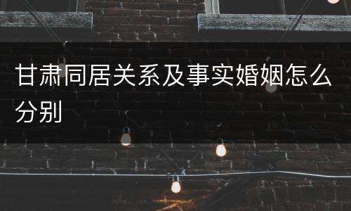 甘肃同居关系及事实婚姻怎么分别