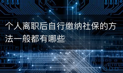 个人离职后自行缴纳社保的方法一般都有哪些