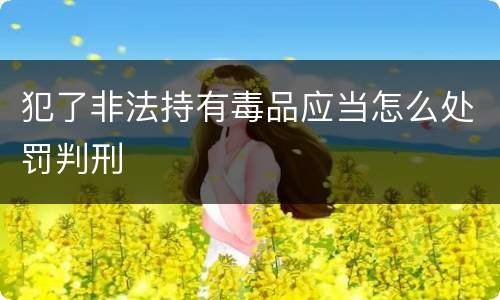 犯了非法持有毒品应当怎么处罚判刑