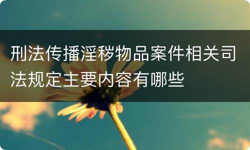 刑法传播淫秽物品案件相关司法规定主要内容有哪些