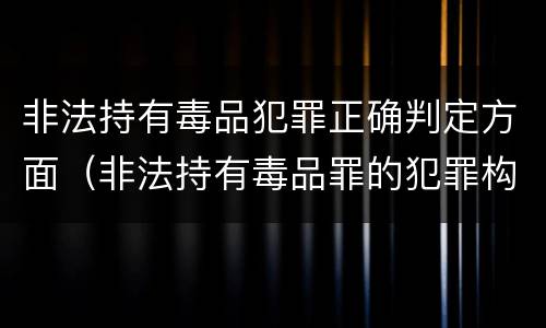 非法持有毒品犯罪正确判定方面（非法持有毒品罪的犯罪构成）