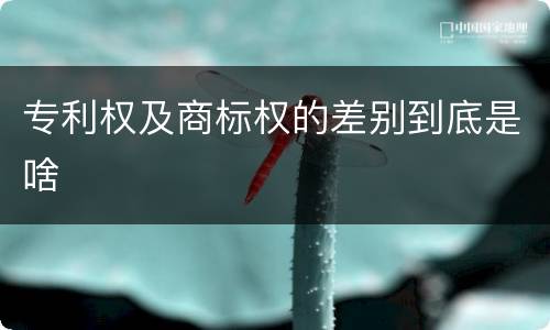 专利权及商标权的差别到底是啥