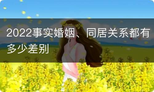 2022事实婚姻、同居关系都有多少差别