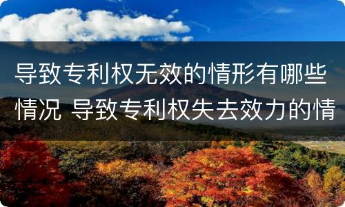 导致专利权无效的情形有哪些情况 导致专利权失去效力的情况有什么