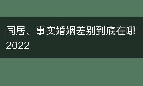 同居、事实婚姻差别到底在哪2022