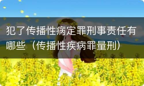 犯了传播性病定罪刑事责任有哪些（传播性疾病罪量刑）