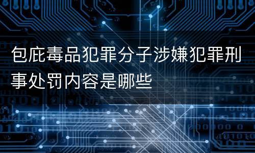 包庇毒品犯罪分子涉嫌犯罪刑事处罚内容是哪些