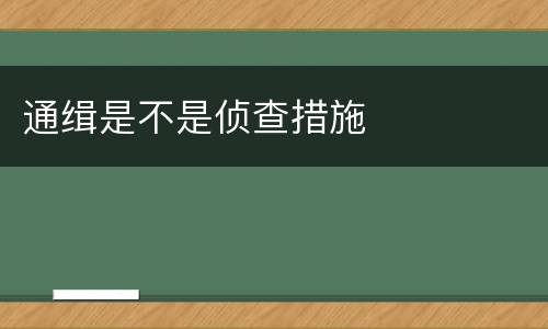 通缉是不是侦查措施