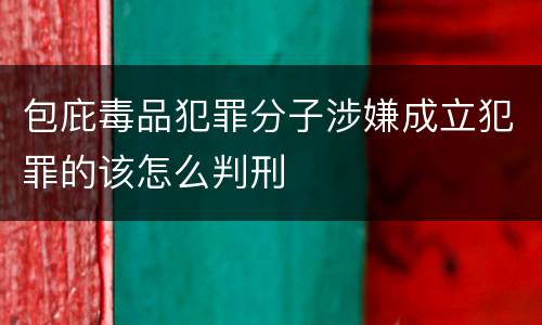 包庇毒品犯罪分子涉嫌成立犯罪的该怎么判刑