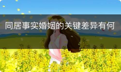 同居事实婚姻的关键差异有何