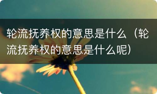 轮流抚养权的意思是什么（轮流抚养权的意思是什么呢）