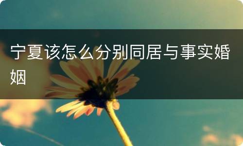 宁夏该怎么分别同居与事实婚姻