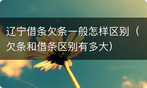 辽宁借条欠条一般怎样区别（欠条和借条区别有多大）