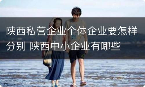 陕西私营企业个体企业要怎样分别 陕西中小企业有哪些