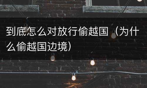 到底怎么对放行偷越国（为什么偷越国边境）