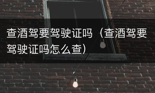 查酒驾要驾驶证吗（查酒驾要驾驶证吗怎么查）