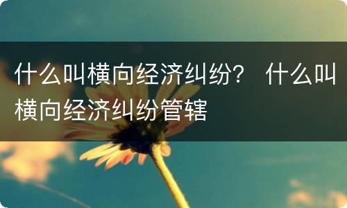 什么叫横向经济纠纷？ 什么叫横向经济纠纷管辖
