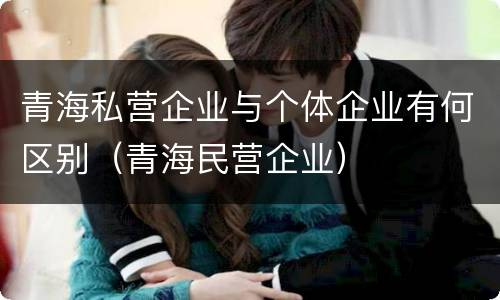 青海私营企业与个体企业有何区别（青海民营企业）