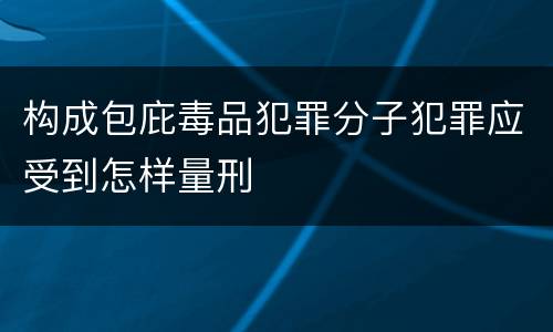 构成包庇毒品犯罪分子犯罪应受到怎样量刑