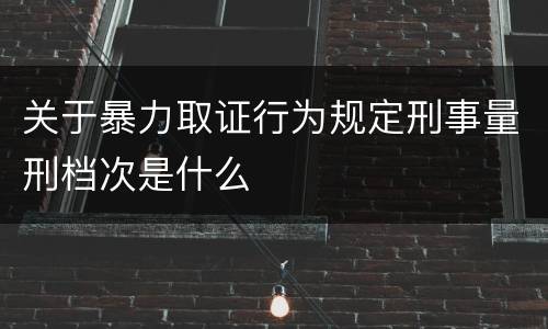 关于暴力取证行为规定刑事量刑档次是什么