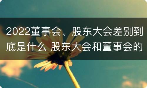 2022董事会、股东大会差别到底是什么 股东大会和董事会的权力边界