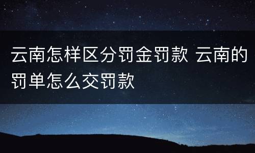 云南怎样区分罚金罚款 云南的罚单怎么交罚款