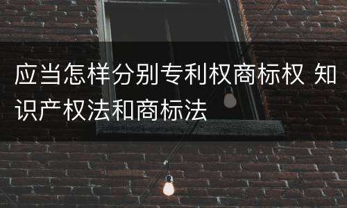应当怎样分别专利权商标权 知识产权法和商标法